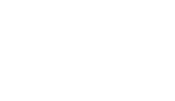Cyber Center Logo